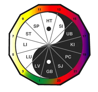 Chinese body clock diagram showing the twelve primary meridians arranged in a yin-yang circle with 24-hour markers, from Lung at 3am through to Liver at 1am
