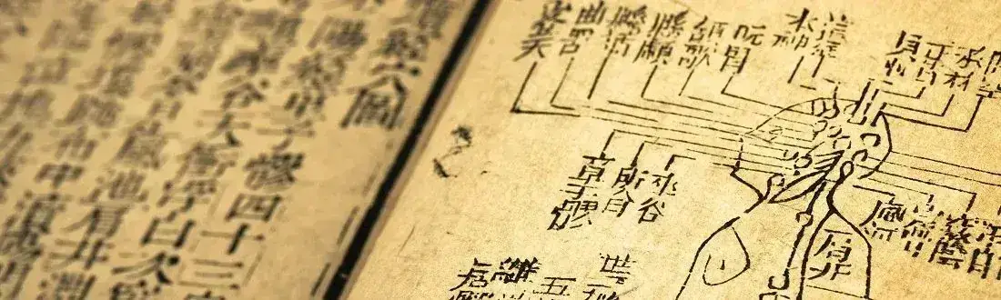 Acupuncture book
